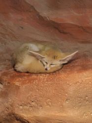 -Zoolung Zoolung动物主题公园(海信广场店)