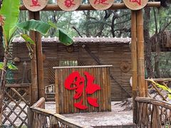 -北海金海湾红树林生态旅游区