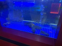 -东富酒家(龙湖西溪天街店)