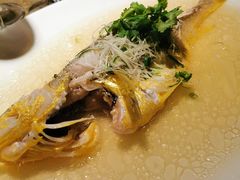 清蒸野生大黄鱼-苏浙总会(国金中心店)
