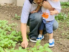 -上海市宝山星佑博爱幼儿园