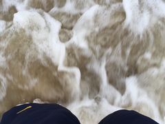 -日照海滨国家森林公园