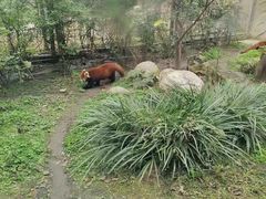 -成都动物园