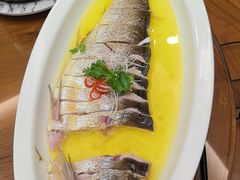 -鲁宴·鲁煨黄河生态大鲤鱼(月坛店)