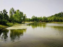 -东郊湿地公园