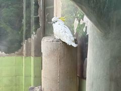 -石家庄市动物园