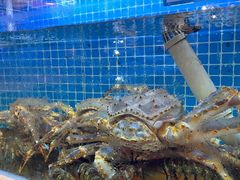 -202特色排档(五缘湾店)