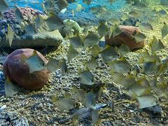 -北戴河圣蓝海洋公园