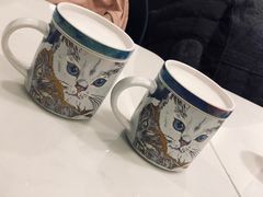 -飞行喵MR PILOT|猫舍·猫咖(静安大融城店)