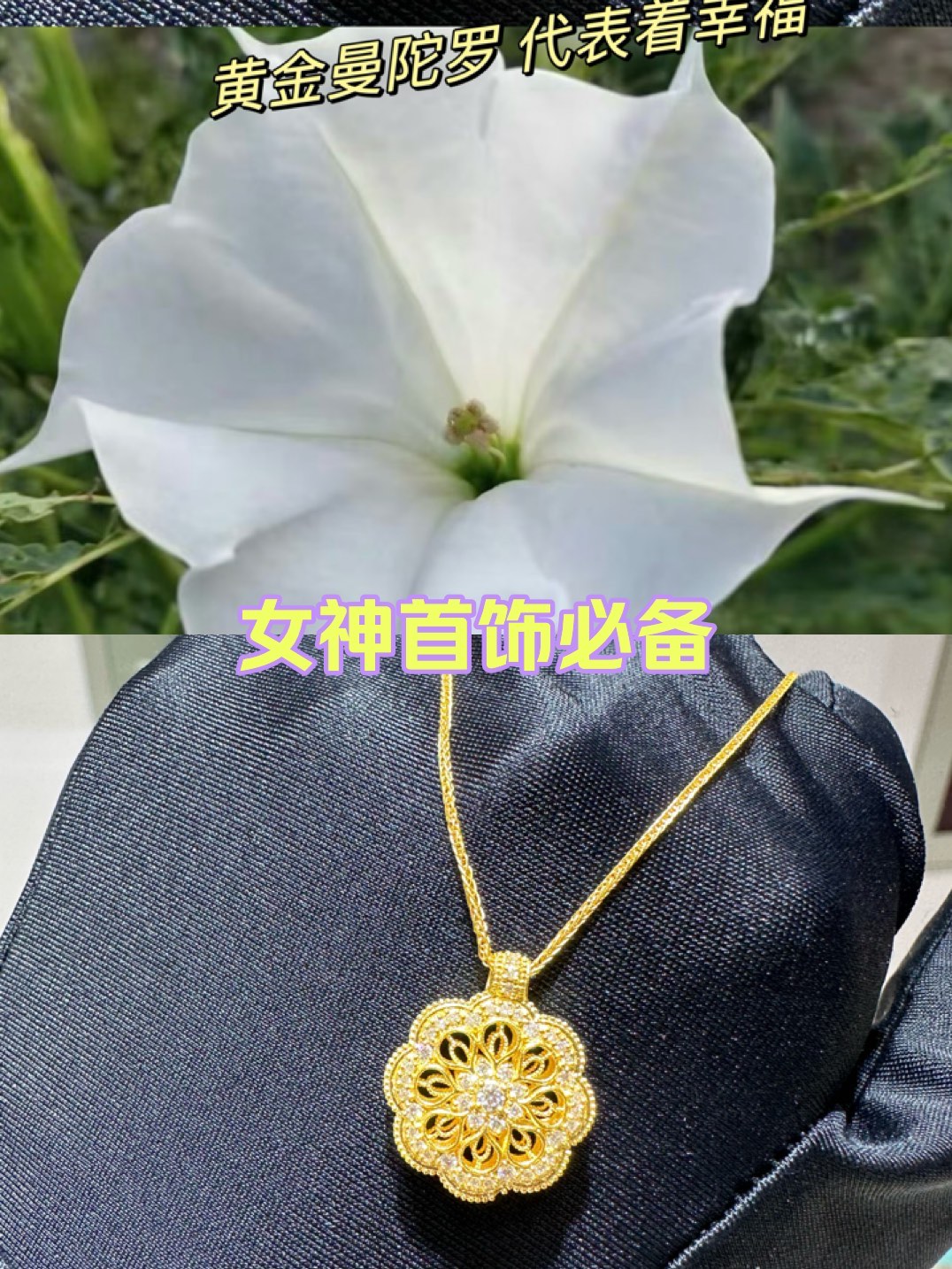 金色曼陀罗花语图片