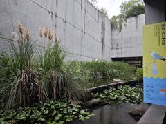 -中国湿地博物馆