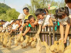 -郴州特产舜华临武鸭(郴州西站店)
