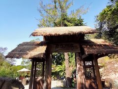 -厦门园林植物园-植物园滴水山房