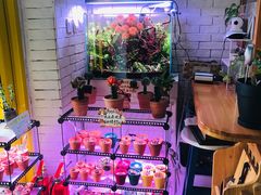 -向日葵十五度餐厅(昌平区店)