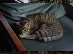 -田德能咖啡博物馆