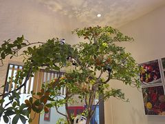 -川成元·麻辣香锅(凯德MALL西直门店)