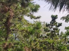 -青岛崂山太清宫