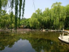 -玲珑塔公园