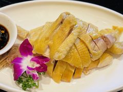 -碧丽宫大酒店(召稼楼店)