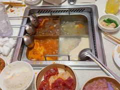 -海底捞火锅(吾悦国际广场店)