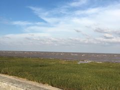 -南汇嘴观海公园