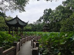 -房湖公园
