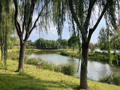 -东郊湿地公园