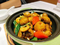 金钩虾干蘑菇-尚一汤 广东炖汤(金桥国际店)