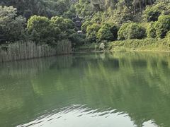 -九龙潭景区