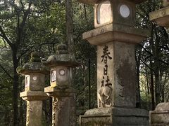 -奈良公园