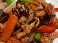 美极八爪鱼-燕春楼(海河华鼎店)