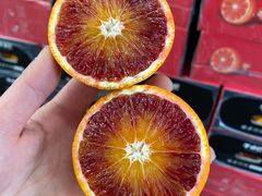 -上海龙吴水胜海发市场