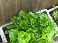 -旺角小渔村(幸福中路店)