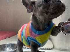 -乐宠宠物店(世纪金源店)