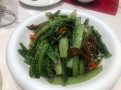 清炒油麦菜-凯鸽酒楼(操场城店)