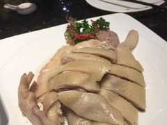 -新兴·金羊座·粤菜点心(乐峰店)