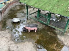 -牛鱼嘴原始生态风景区