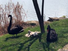 -长兴太湖图影湿地文化园