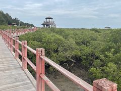 -北海金海湾红树林生态旅游区
