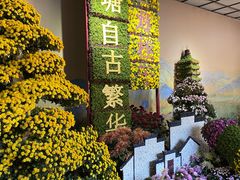 -杭州植物园