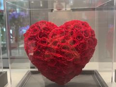 -ROSEONLY诺誓(国际广场购物中心店)