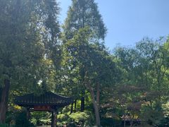 -杭州植物园