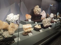 -湖南省地质博物馆