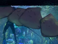 -南昌海洋公园