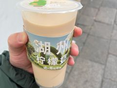-猫的魔法密林(衣裳街店)