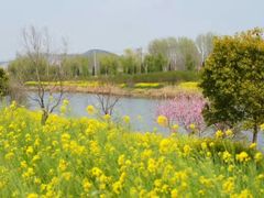 -南山植物园