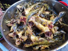 -金海椒罐罐鲢鱼(东方桂苑店)