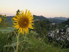 -石潭村