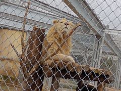 -合肥野生动物园