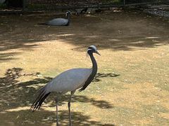 -秦皇岛野生动物园